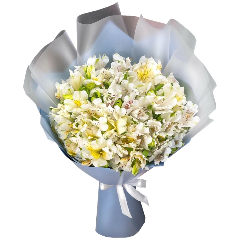 Букет из 25 белых альстромерий