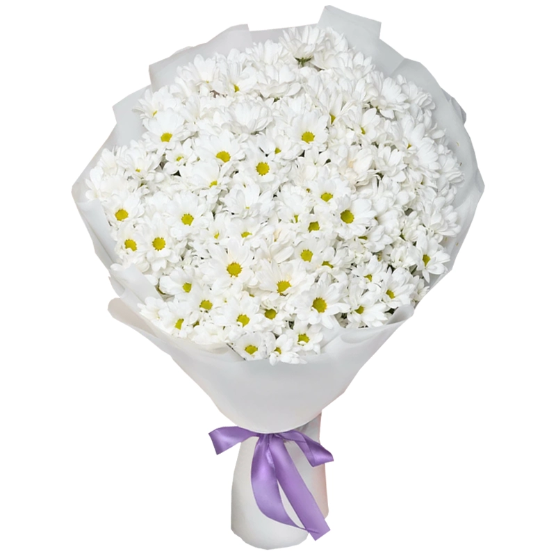Букет из 25 белых ромашковых хризантем