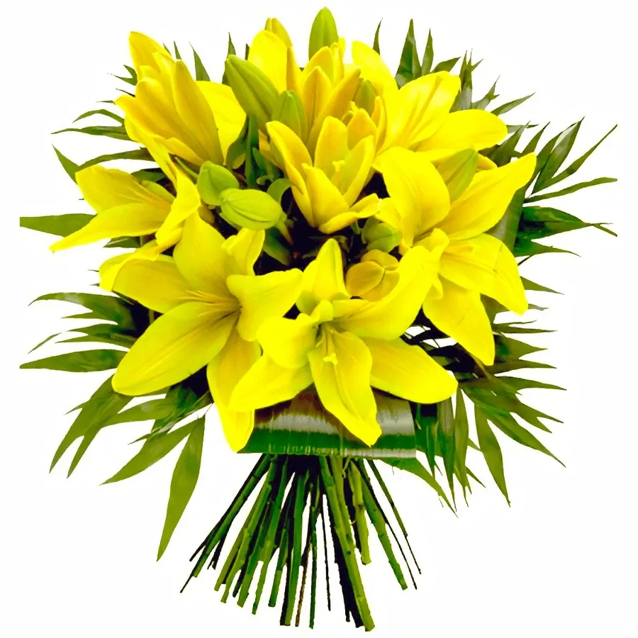 Лилии желтые